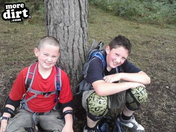 Follow the Dog Trail - Cannock Chase