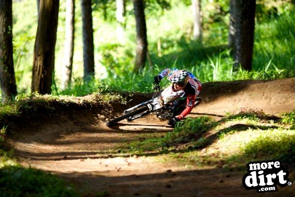 Asian champ getting really low