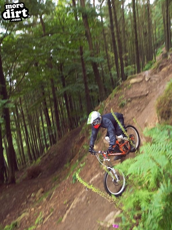 Y Mynydd Downhill - Cwmcarn