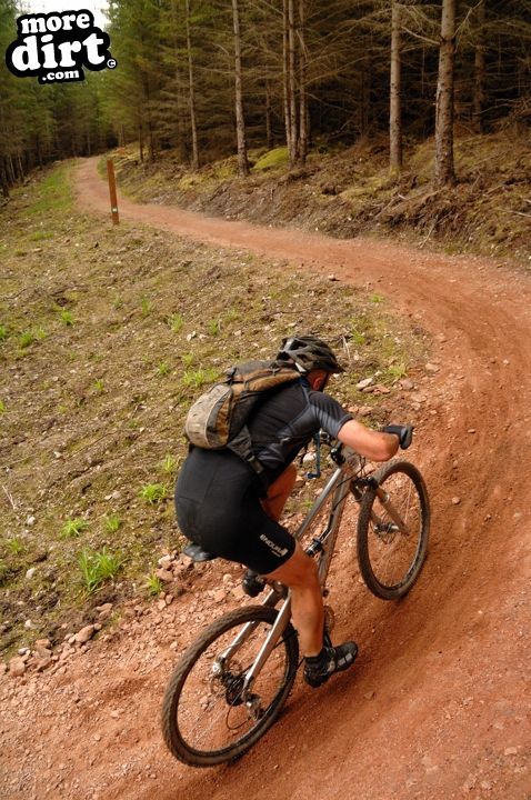 Fochabers Freeride Trail - Moray