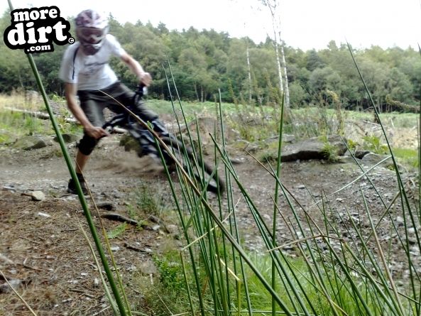 Warren Boulder Trail - Stainburn Forest