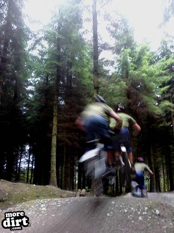 Skills Area - Coed Llandegla Forest