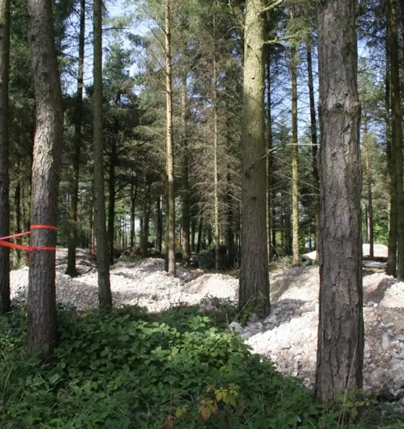 NEW skills area and pump track at Haldon Forest