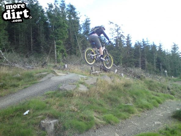 The Red Trail - Glentress