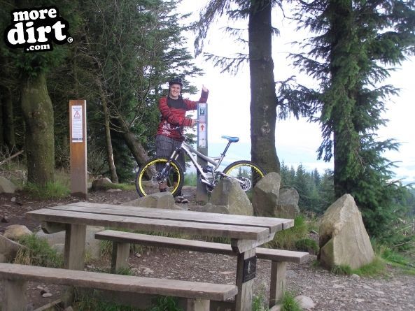 The Red Trail - Glentress