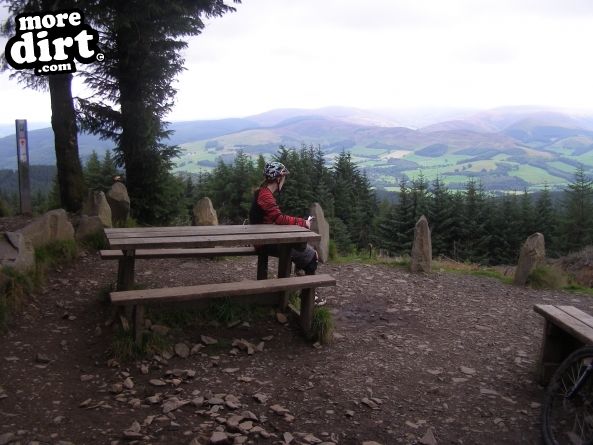 The Red Trail - Glentress