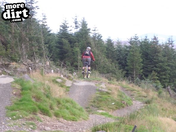 The Red Trail - Glentress