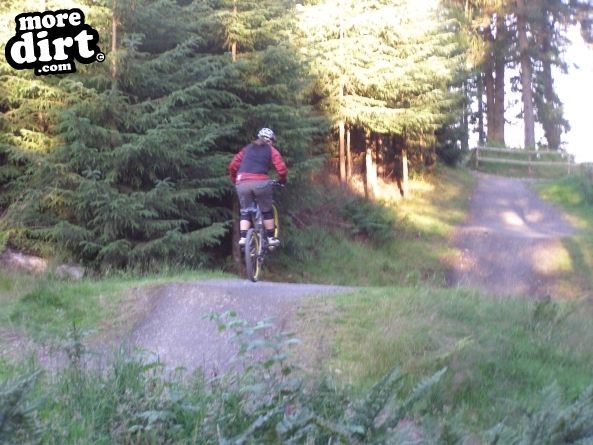 The Red Trail - Glentress
