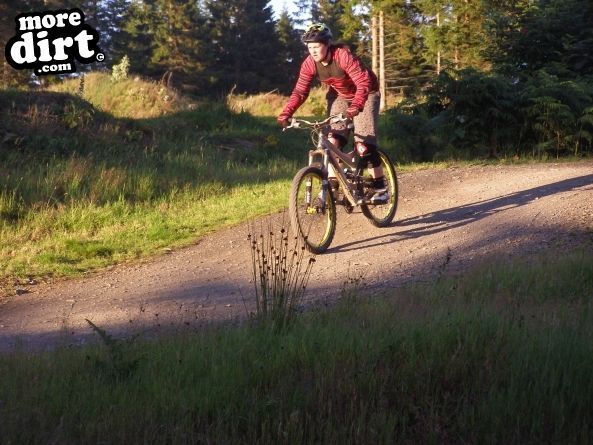 The Red Trail - Glentress