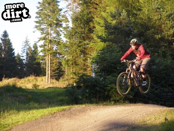 The Red Trail - Glentress