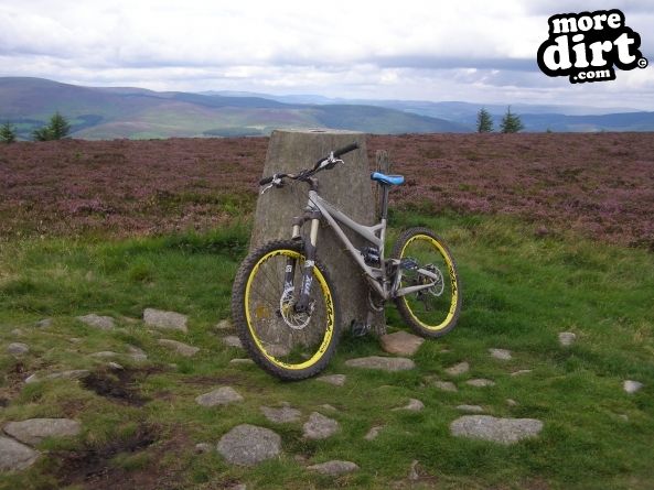 Innerleithen Mountain Bike Trails