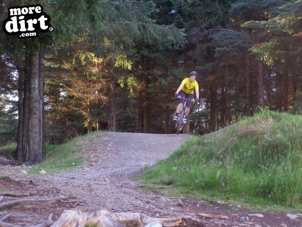 Freeride Park - Glentress