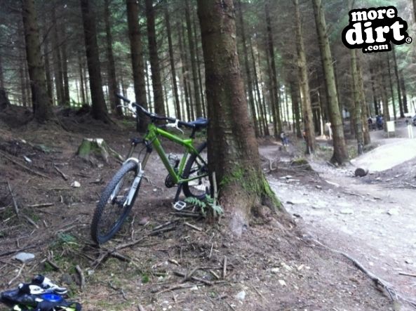 Skills Area - Coed Llandegla Forest
