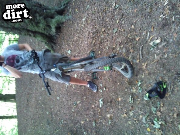 No other injuries apart from the graize on my elbo