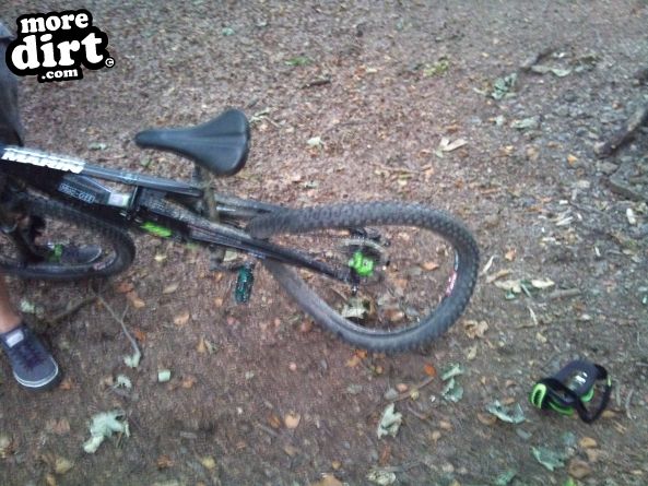 No other injuries apart from the graize on my elbo