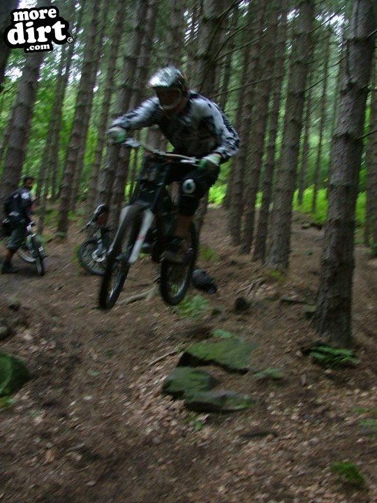 Wharncliffe Woods - DH Trails