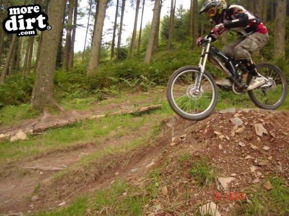 Ae Downhill Trail