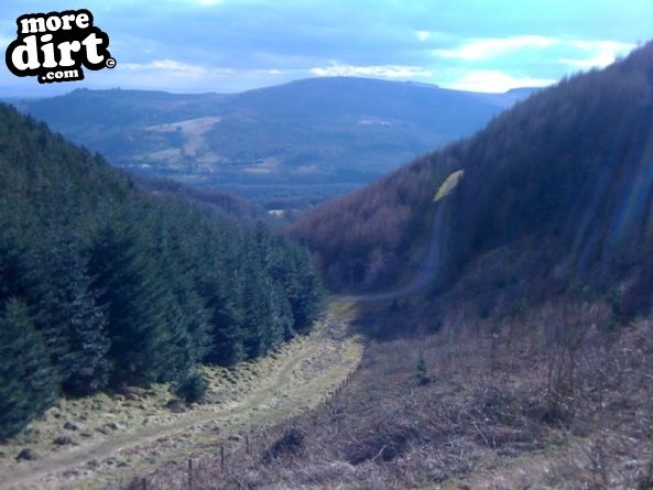Twrch Trail - Cwmcarn