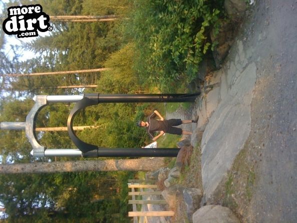 MBR Trail - Coed-y-Brenin