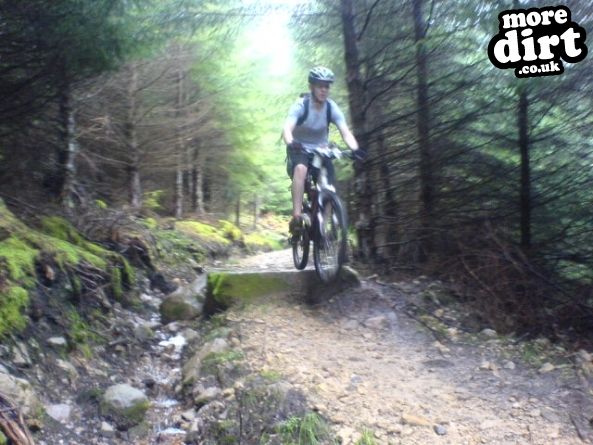 Deadwater Trail - Kielder Forest