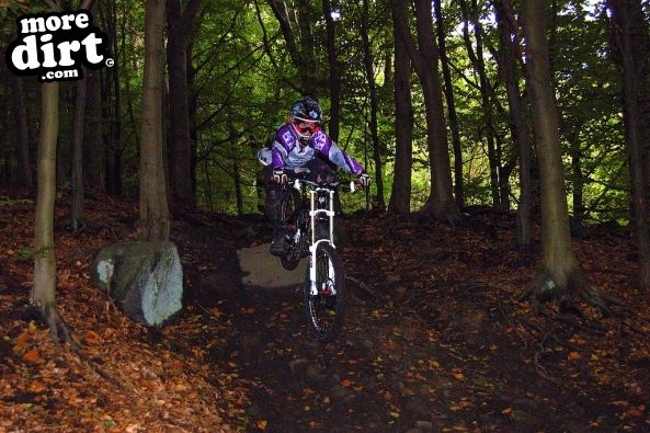 Wharncliffe Woods - DH Trails