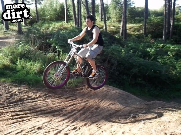 Lime Burner Trail - Thetford Forest