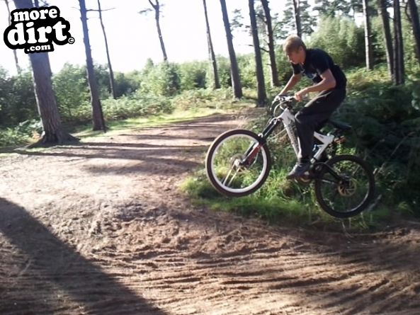 Lime Burner Trail - Thetford Forest
