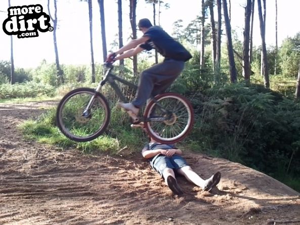 Lime Burner Trail - Thetford Forest