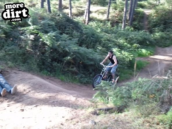 Lime Burner Trail - Thetford Forest