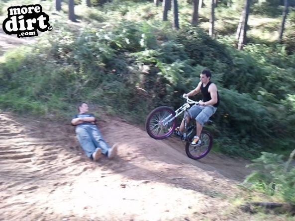 Lime Burner Trail - Thetford Forest