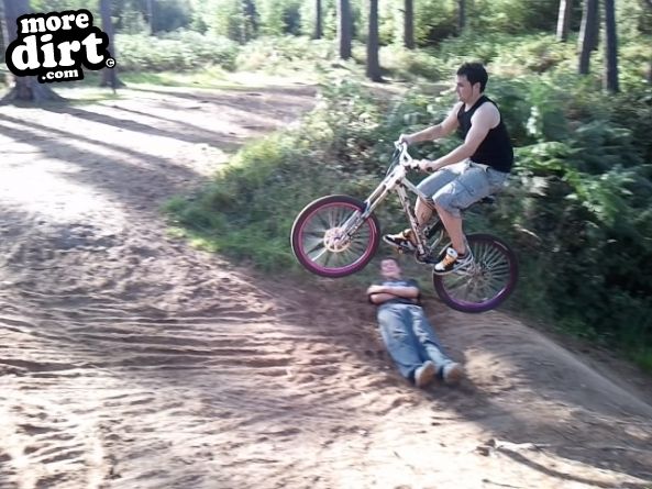 Lime Burner Trail - Thetford Forest