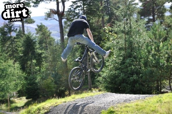 Freeride Park - Glentress