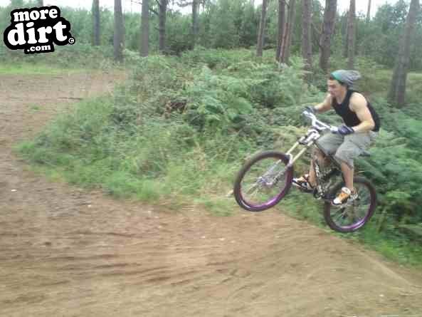 Lime Burner Trail - Thetford Forest