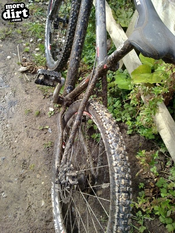 Dalby Forest Red Trail