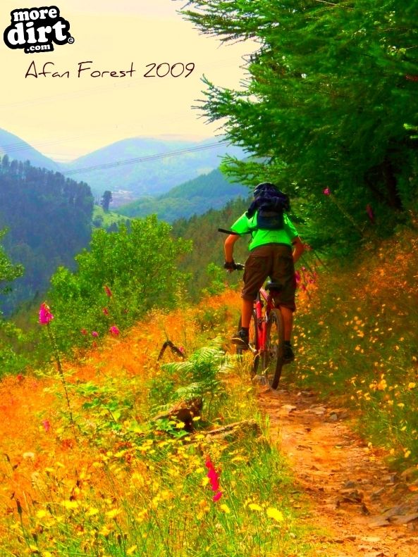 The Wall Trail - Afan Forest