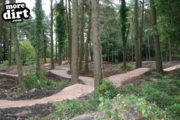 Haldon Forest Skills Area & Pump Track
