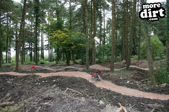 Haldon Forest Skills Area & Pump Track