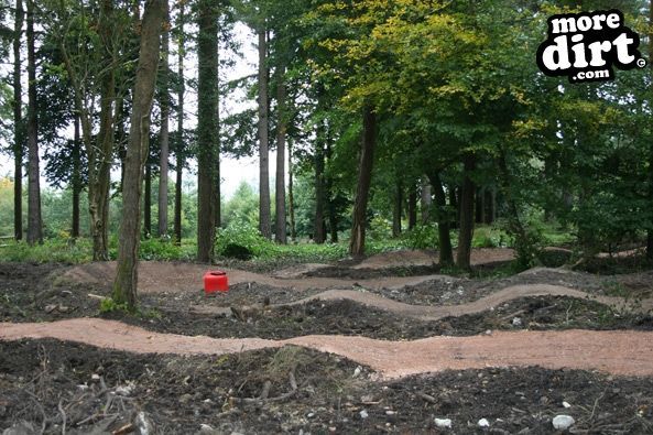 Haldon Forest Skills Area & Pump Track