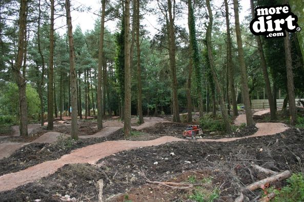 Haldon Forest Skills Area & Pump Track