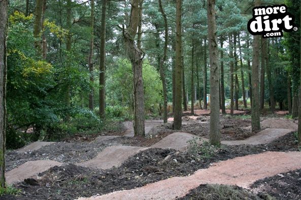 Haldon Forest Skills Area & Pump Track