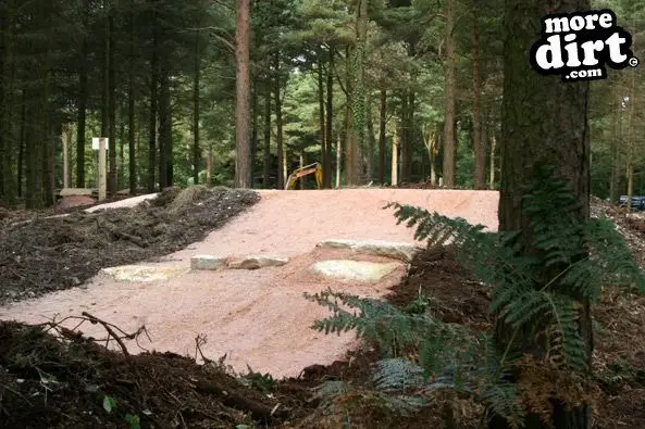 Haldon Forest Skills Area & Pump Track