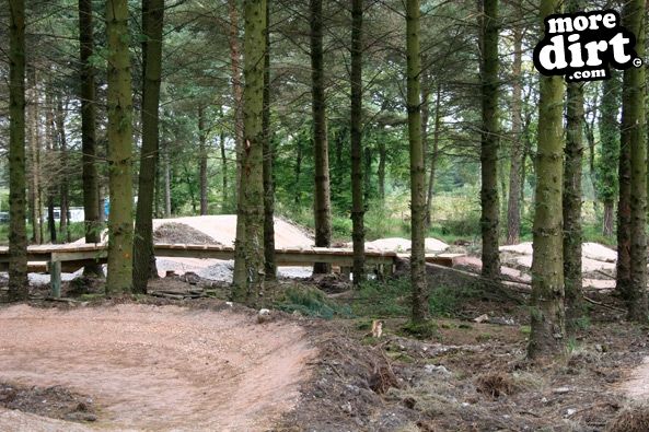 Haldon Forest Skills Area & Pump Track