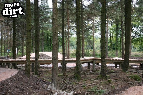Haldon Forest Skills Area & Pump Track