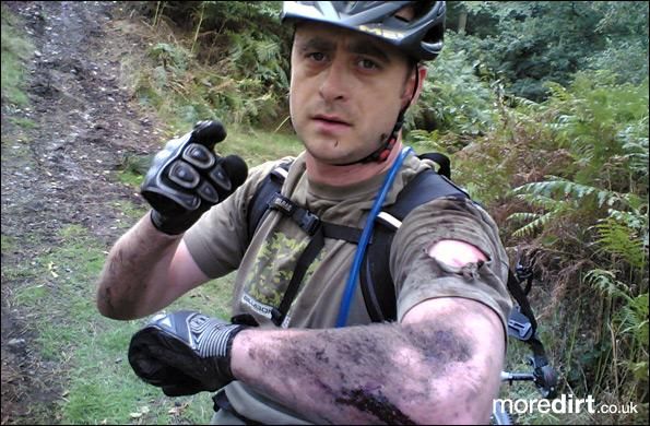 Follow the Dog Trail - Cannock Chase