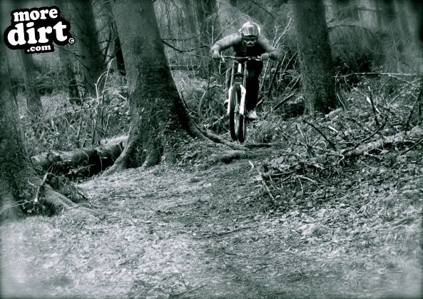 my mate popping off a root