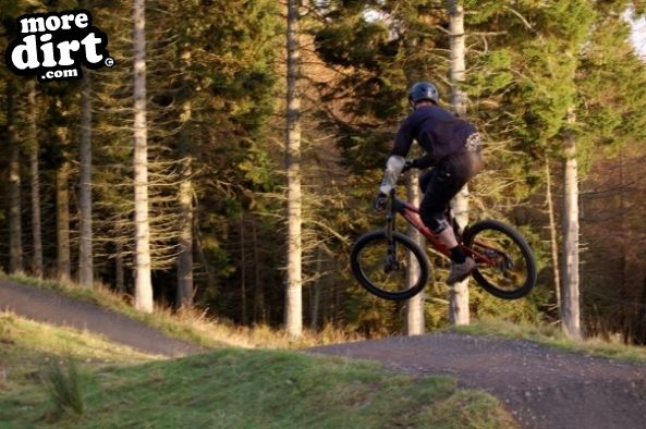 Freeride Park - Glentress