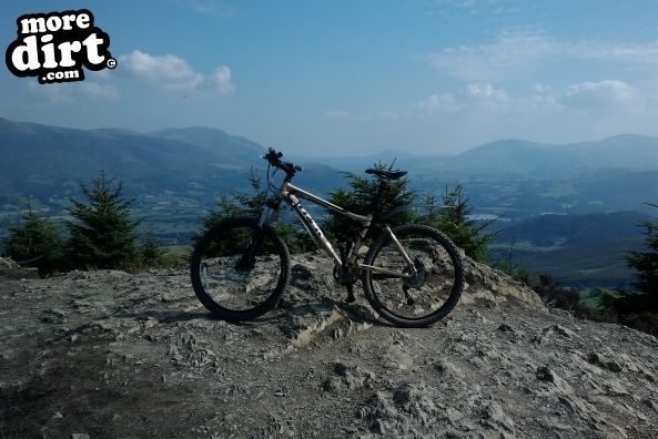 Altura Trail - Whinlatter Forest