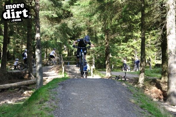Freeride Park - Glentress