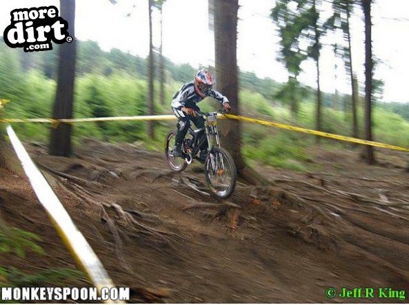 Hopton Wood Downhill Trail