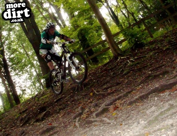 Queen Elizabeth Country Park Mountain Bike Trails
